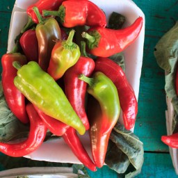 Mexico City – a handful of jet lagged observations