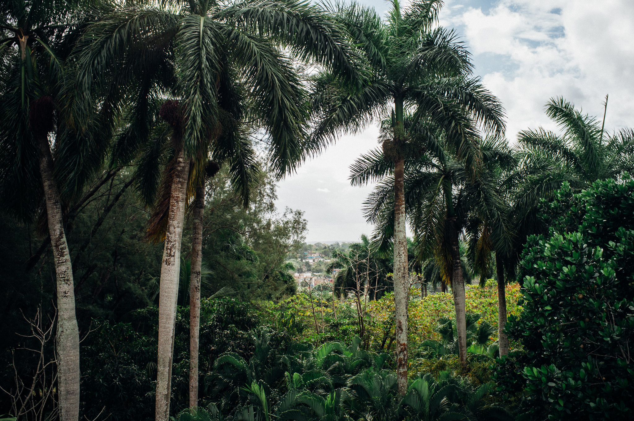 24862161590_dba81d55ef_k