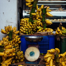 Of coconuts, Kandi and curry fatigue – Sri Lanka for the uninitiated